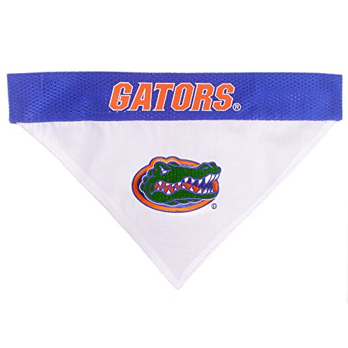 Collegiate Pet Accessories (XX-Large / Florida Gators)