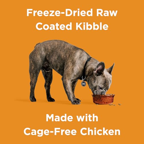 Rawbble Freeze