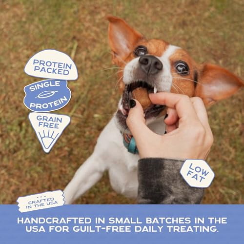 Healthy Soft Dog Treats (5 Ounce (Pack of 1))