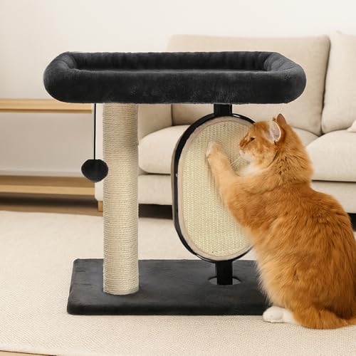 Single Platform Cat Tree with Scratching Post and Pad for Indoor Cats (Platform / Gray)