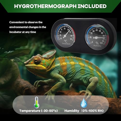 24" X 18" x 18" Reptile Tall Glass Terrarium Rainforest Habitat Double Hinge Door with Screen Ventilation 34 Gallon Reptile Terrarium Easy Assembly for Lizard Tortoise Snake (24x18x18 inch)