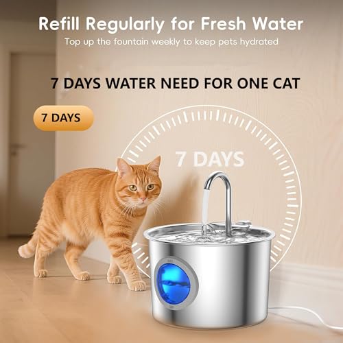 Cat Water Fountain Advanced 304 Stainless Steel 2.2L