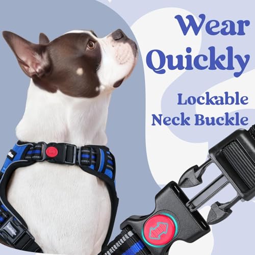 Dog Harness Small Sized (Small / Blue)