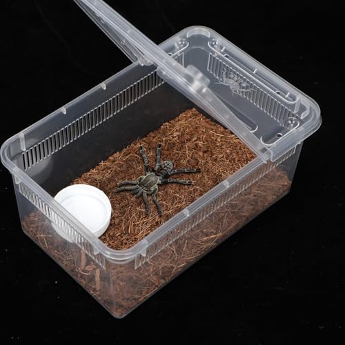 8 Pcs Reptile Breeding Box (Vent Strips / Clear / 7.48 x 4.92 x 2.95 Inch)