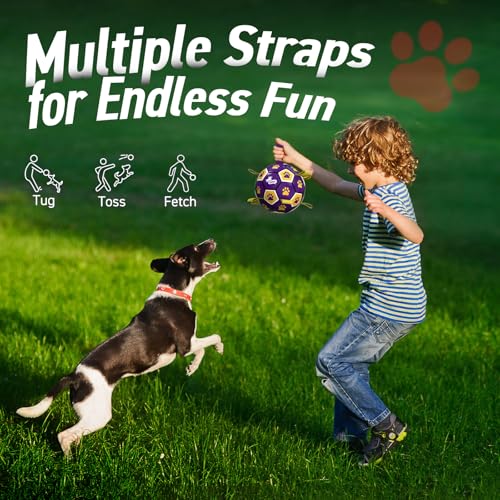 Dog Balls Toys (Purple Yellow / 6 Inch)