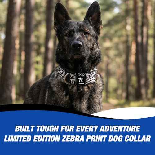 Heavy Duty Thick Dog Collar with Metal Buckle for Large Dogs (L – Fits Neck 18.9"-21.7" / Classic Zebra Print)