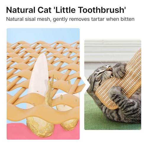 Cat Toys Pack of 2 with 6000mg A+ Organic Catnip