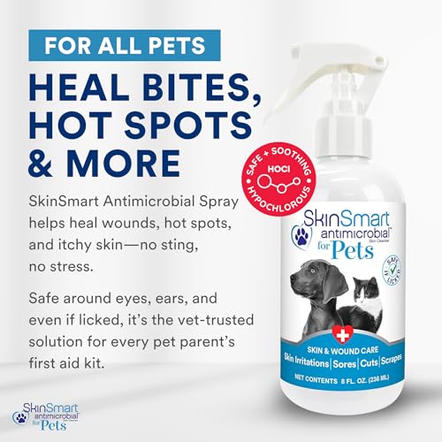 Wound Care for Pets