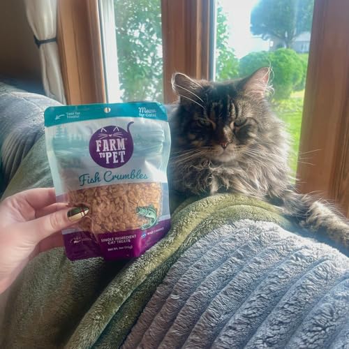 Cat Treat Crumbles