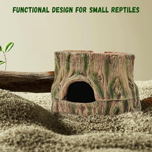 3 in 1 Leopard Gecko Humid Hide