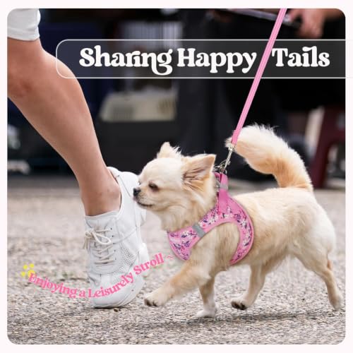 Dog Harness Small Sized and Leash Set (Pink Floral / S (chest: 15.1 - 16.5"))