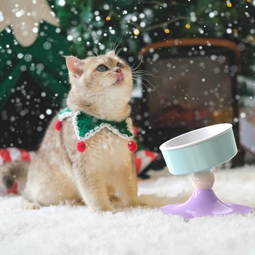 Ceramic Elevated Raised Cat Bowls (Lavender & Mint)