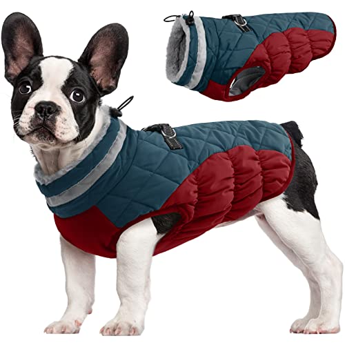 Dog Coat for Small Dogs (Dark Blue / S(chest:17in))