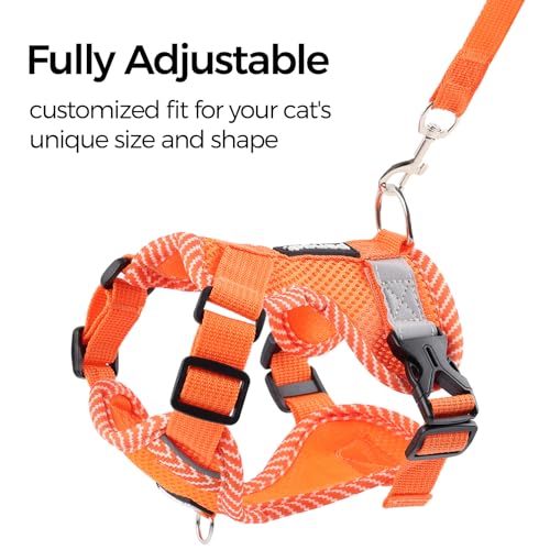 Cat Harness and Leash Set (Orange / Small)