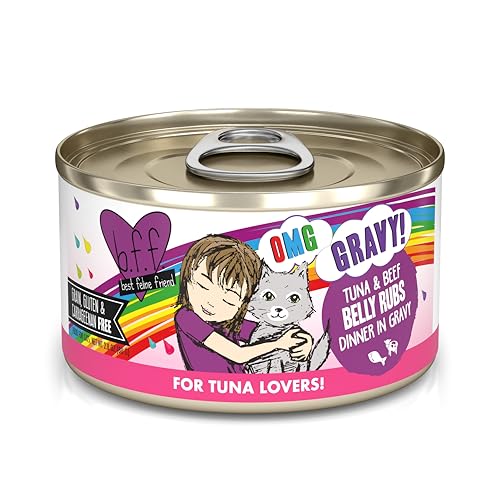 B.F.F. OMG Best Feline Friend Oh My Gravy! (2.8 Ounce (Pack of 12))