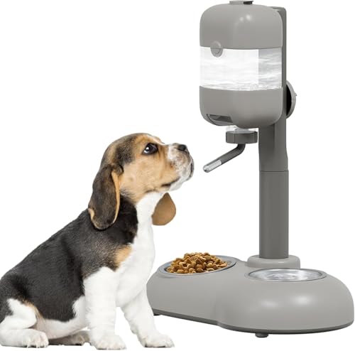 Puppy Bowls for Small Dogs (Gray)