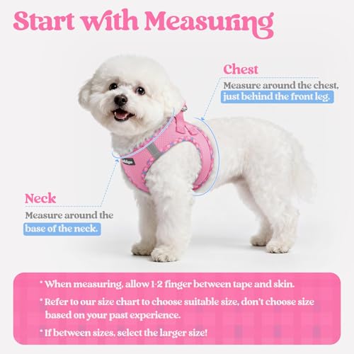 Dog Harness Small Sized and Leash Set (Pink & Plaid Trim / S (chest: 15.1 - 16.5"))