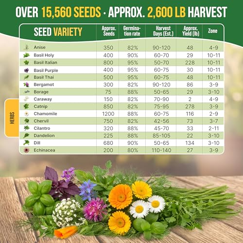 30 Medicinal & Tea Herb Seeds Variety Pack 15