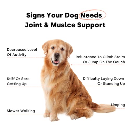 Joint & Recovery