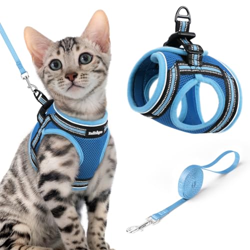 Cat Harness and Leash Set (XL / Blue & Light Blue)