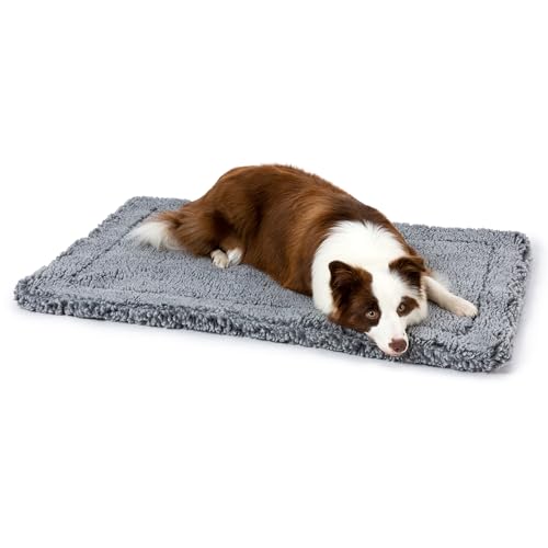 Stoutwool Indestructible Dog Bed (35.0"L x 22.0"W x 2"Th / Charcoal)