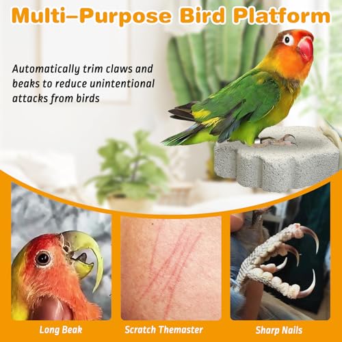 8 PCS Bird Perches Calcium Parrot Perch Stand Bird Beak Grinding Stone Foot Claws Trimmer Parrot Chewing Toys Bird Cage Accessories for Budgie Cockatiel Conure Lovebird Finch