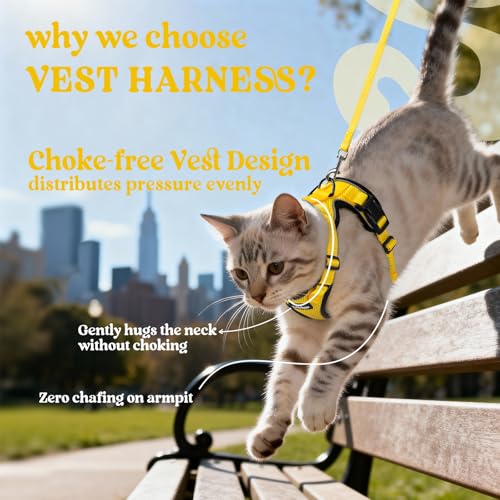 Cat Harness and Leash Set (M / Yellow)