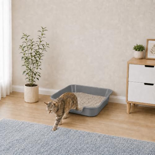 Extra Large Low Entry ABS Cat Litter Box (Large (Pack of 2) / Dark Gray)