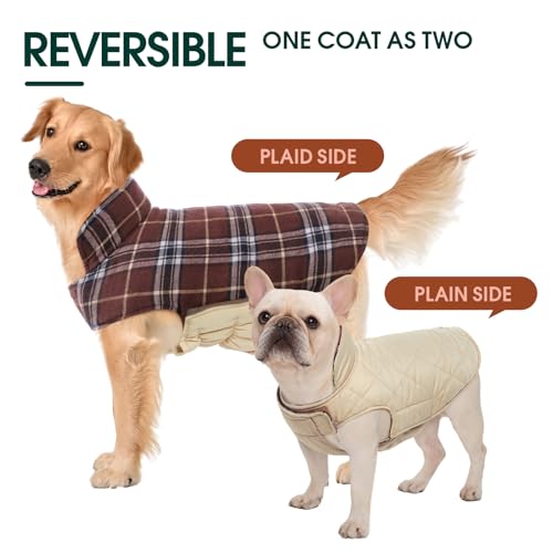 Waterproof Dog Coat (Brown / Medium (Pack of 1))