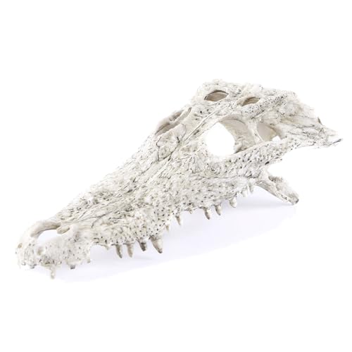 Animal Skull Fish Aquarium Hideout Decorations Cave Dinosaur Reptile Ornament Halloween Décor for Terrarium Large Betta Decor Bones (Crocodiles)