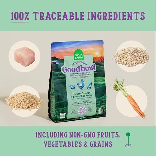 Goodbowl Protein Rich Dry Cat Food Made from Meticulously Sourced Simple Ingredients (3 Pound (Pack of 1))