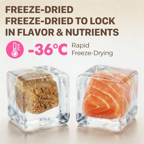 Freeze Dried Salmon Treats for Dogs & Cats (10.6 Ounce (Pack of 1))