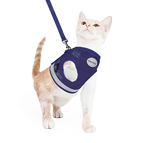 Cat Harness and Leash Set (XS (Chest: 6" - 8") / NavyBlue)