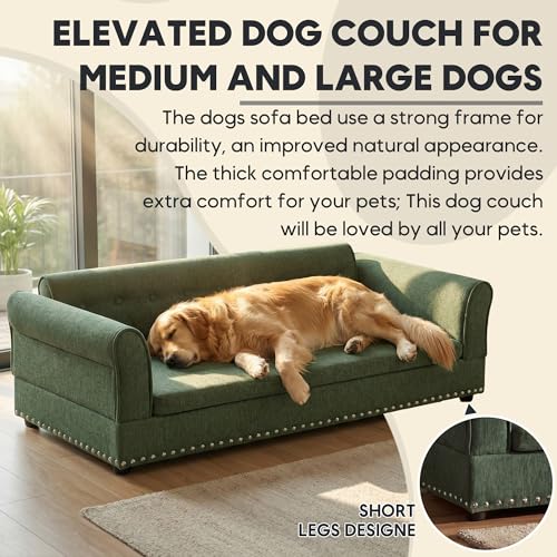 55" Dog Sofa for Medium to Large Dogs (55 inch-2 / Green)