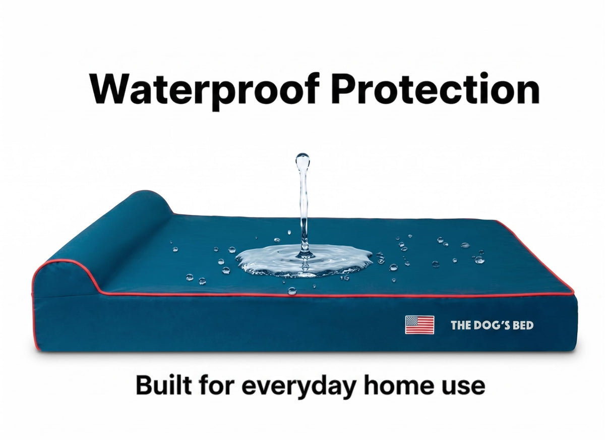 The Dog’s Bed Orthopedic Memory Foam Dog Bed with Headrest Large 6 (Blue with Red Trim US Flag / L (40"L x 25"W x 6"Th))