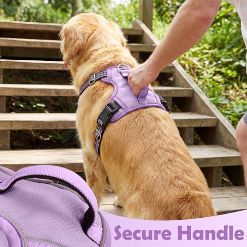 Dog Harness No Pull (Purple / Small)