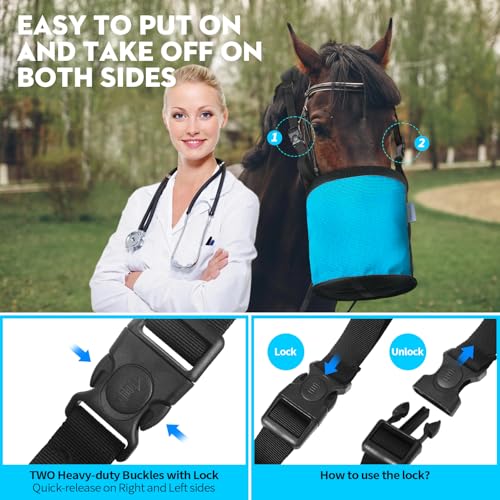 Horse Feed Bag for Grain (Sky blue)