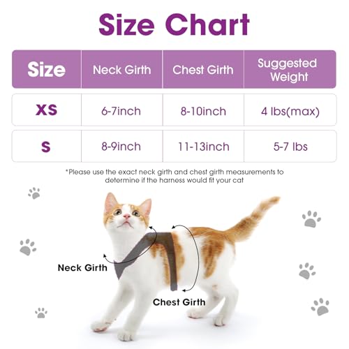 Cat Harness and Leash Set (Purple / XS)