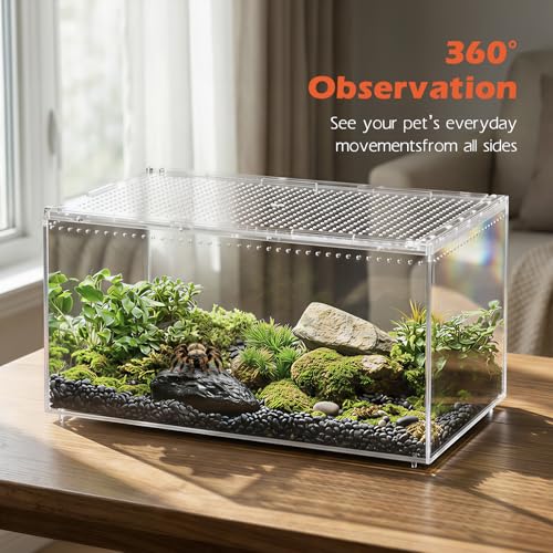 Escape Proof Tarantula Enclosure (XLarge(15.74*9.84*7.87inch))