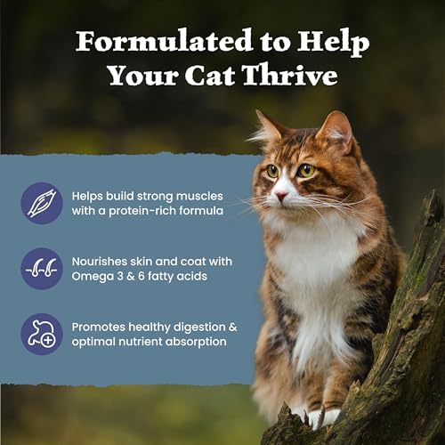 Wilderness Chicken Adult Dry Cat Food (15 Pound (Pack of 1))