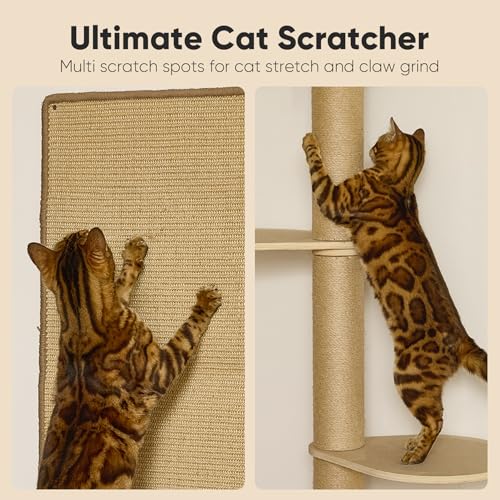 Cat Wall Shelves (Beige-2)
