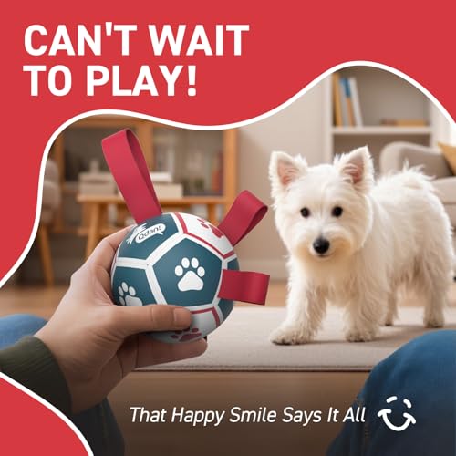 Small Dog Toys (Red-Blue / Small Size 1 (5 Inch))