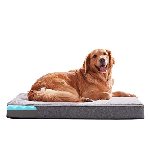 Orthopedic Memory Foam Dog Bed (Purple Grey / Large-35"x 22" x 3")