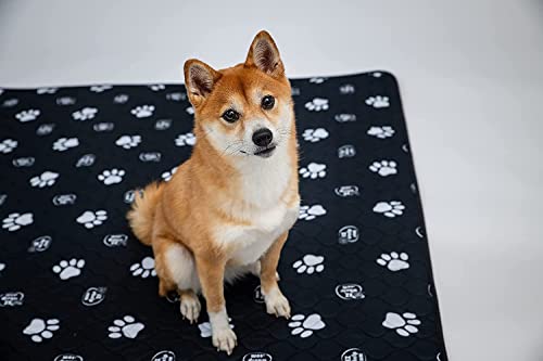 Reusable Dog Pee Pads (50x80 Inch)