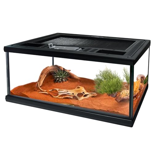 Reptile Glass Terrarium Tank 12"*8"*6" (12*8*6inch)