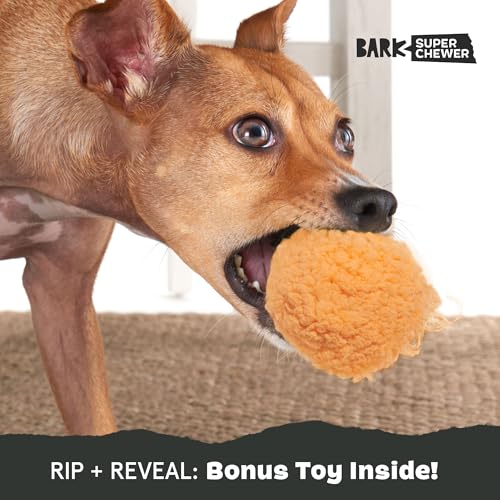 Cheeze Brawl Super Chewer Plush Toy with Hard Core Center (Cheeze Brawl - Large)
