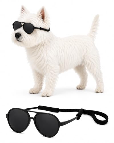 G029 Dog Pet Cat Aviator Pilot Sunglasses for Small to Medium Breed 12 (Medium, 12-25 lbs, Black)
