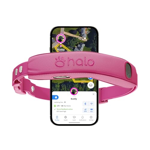 Collar 5 Wireless Dog Fence System (Orchid / One Size)