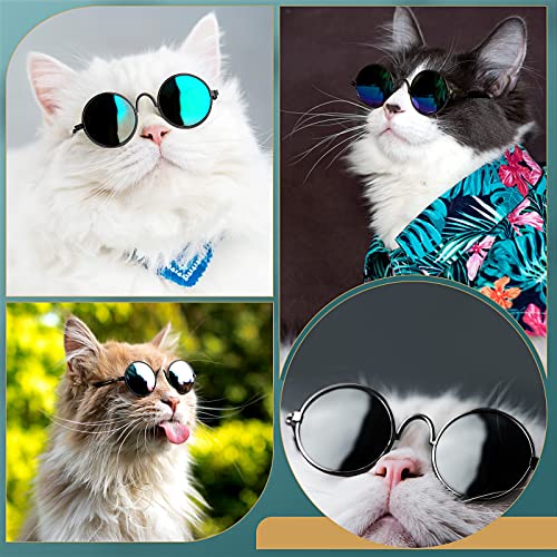 Dog Sunglasses Round Metal Pet Eyewear (Black / Classic Style)