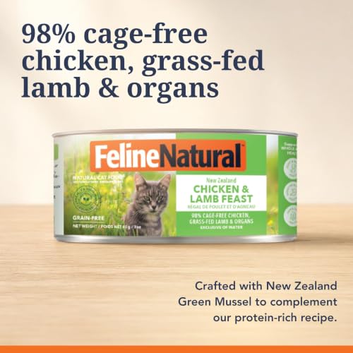 Canned Grain Free High (3 Ounce (Pack of 24))